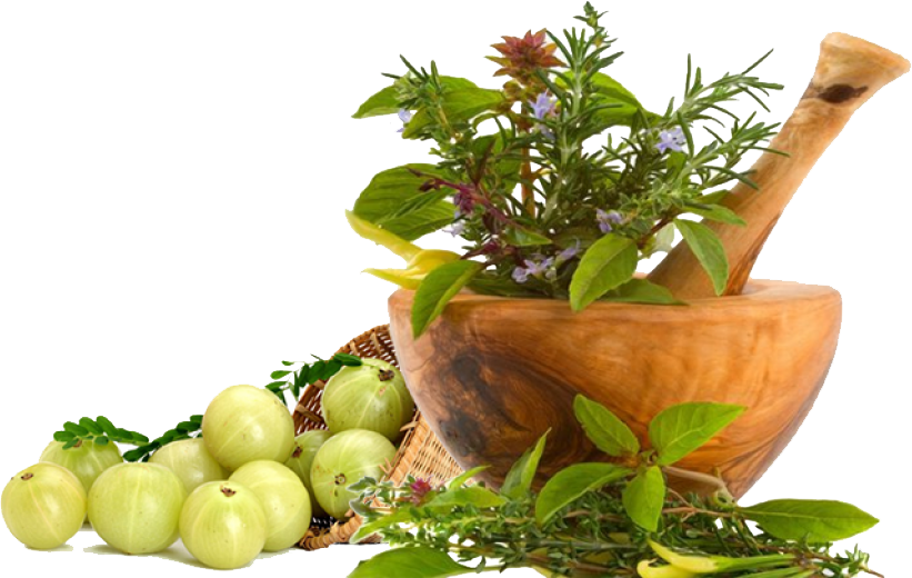 PCD Best Herbal Company
