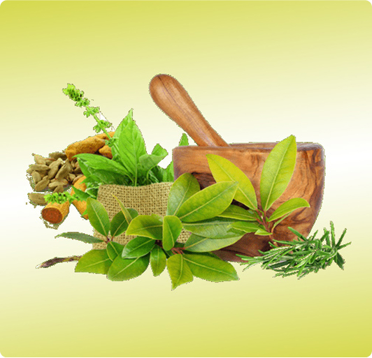 Herbal Product Manufacturers