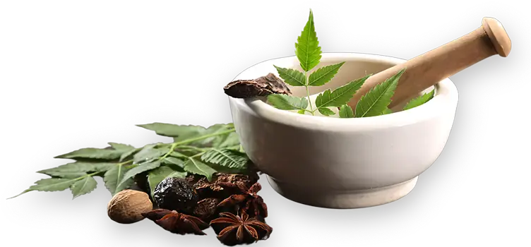 PCD Ayurvedic Company