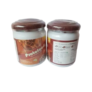 PROTO FOOD